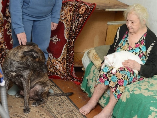 Томские волонтеры пришли к пенсионерке спасать собаку, но спасать пришлось саму бабушку