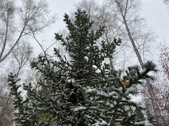 На Омск надвигается потепление