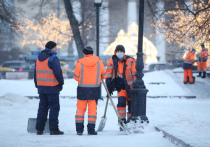 Ведущий сотрудник центра погоды "Фобос " Евгений Тишковец сообщил о редких явлениях, которые могут появиться к утру четверга в атмосфере над Москвой из-за самых сильных с начала года морозов