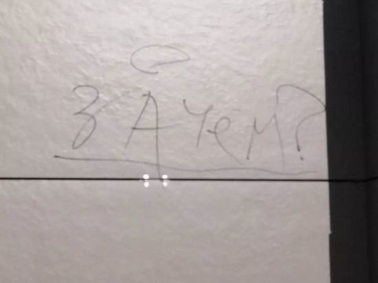 В Благовещенске юный вандал разрисовал новый фасад ОКЦ «Харбин»