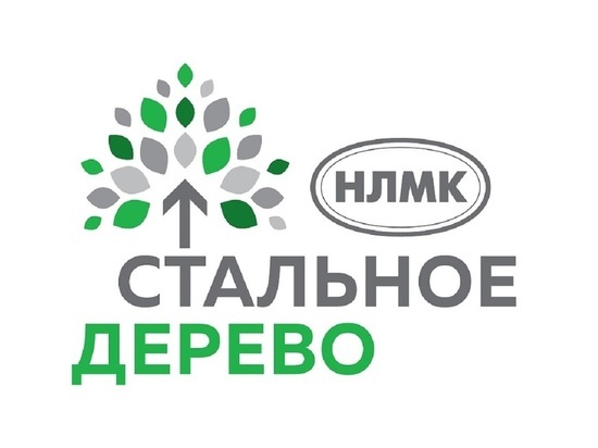 Стартовал прием заявок по программе «Стальное дерево» для жителей Заринска и края