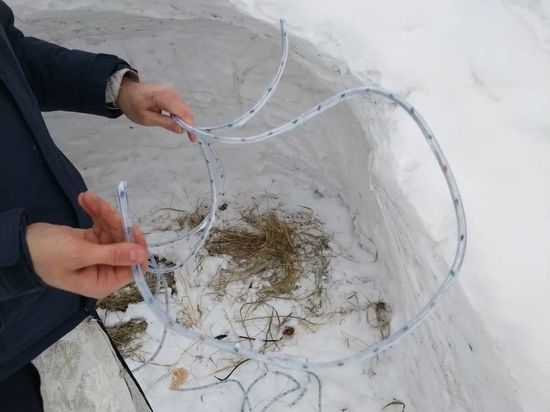 Вандалы разделались с гирляндой Рождественского вертепа на Сахалине