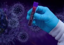 За прошлые сутки в Забайкалье выявлен 121 подтвержденный случай заражения коронавирусом, вылечены от этого заболевания 194 человека, подтверждено 7 летальных случаев
