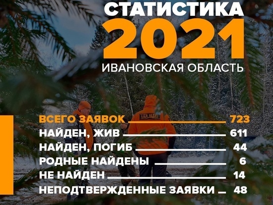 Ивановские спасатели отряда "Лиза Алерт" озвучили итоги работы в 2021 году