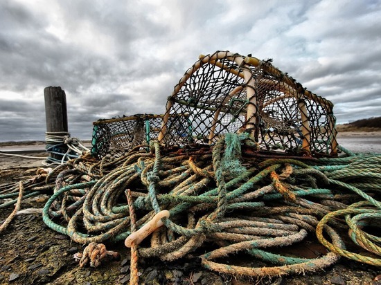 Истории двух рыбодобывающих компаний «Атлант» и «Омега»