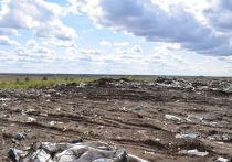 В Таре Омской области прокуратура нашла незаконную свалку в 0,5 тысяч гектаров