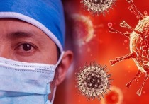 Германия: Новый антирекорд заражаемости коронавирусом