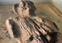 «Изысканная» римская фигурка найдена на раскопках при строительстве в Великобритании сети высокоскоростных железных дорог HS2 в Бакингемшире