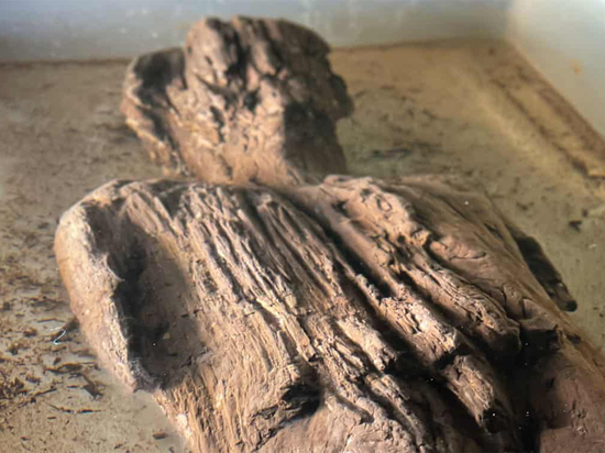 Найденная при раскопках древнеримская фигура поразила археологов: «Качество резьбы изысканное»