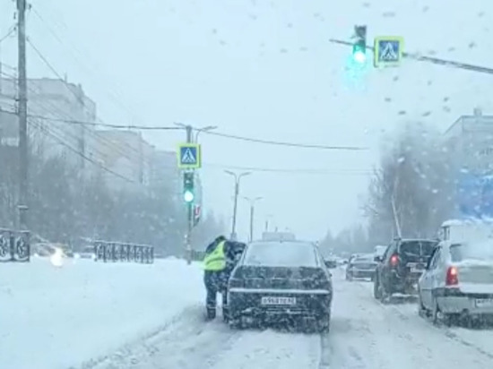 В Рязани арестован водитель, протащивший за машиной сотрудника ДПС