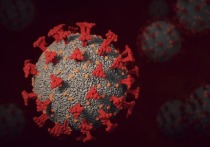 На МКС начнут выращивать большой белок коронавируса
