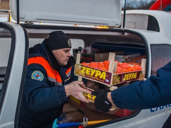 Псковские спасатели привезли продукты на Талабские острова