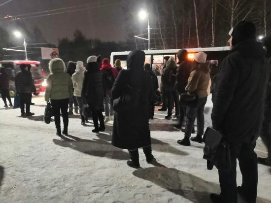 Рязанка пожаловалась на забитые до отказа маршрутки на Касимовском шоссе