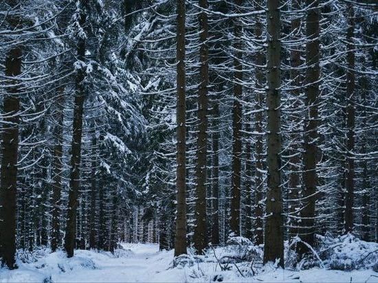 С начала года в Башкирии потерялись 18 взрослых и трое