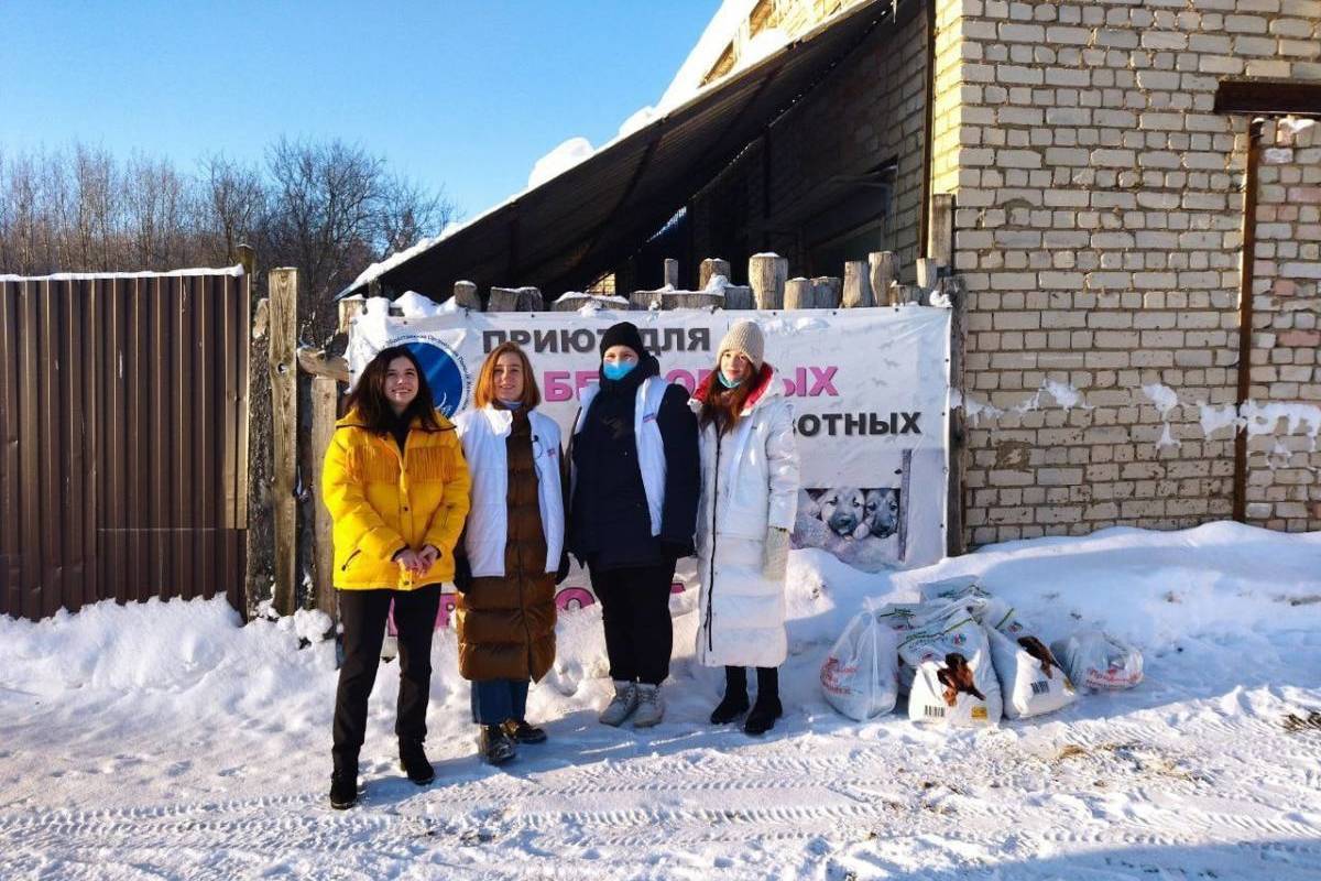 Молодогвардейцы Костромы посетили приют для животных «Право на жизнь» и передали более 100 кг корма