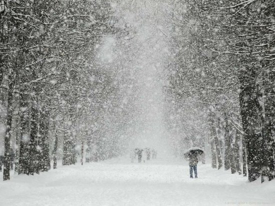 В Старый Новый Год Кострому завалит снегом