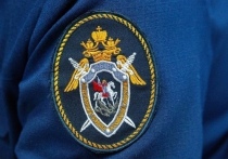 Глава СК РФ Бастрыкин взял под личный контроль расследование дела об изнасиловании 15-летней школьницы в Омске
