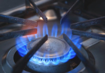 По данным агентства «Интерфакс», по состоянию на 12 января в европейских газовых хранилищах (ПХГ) общий уровень запасов голубого топлива впервые опустился ниже 50%