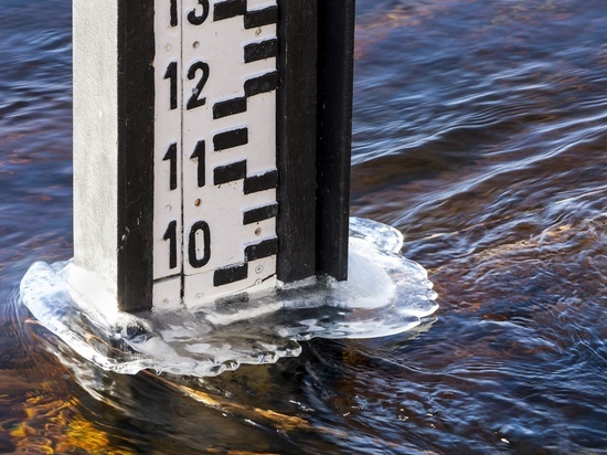Уровень воды в реке Дон может достичь неблагоприятной отметки в течение суток