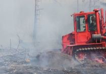 Ученые назвали лесные пожары наиболее серьезной угрозой для природного ареала Ивано-Арахлейского природного парка