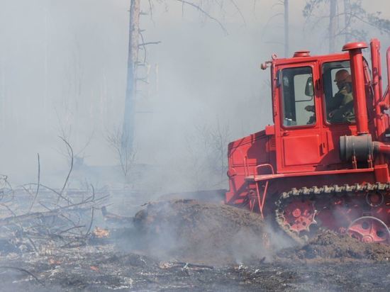 Ученые оценили ущерб Ивано-Арахлейскому парку от пожаров и вырубок