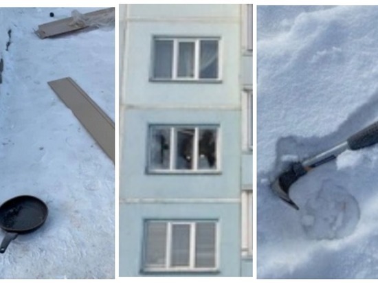 Житель Новосибирска забросал сковородками и молотками припаркованные у дома автомобили