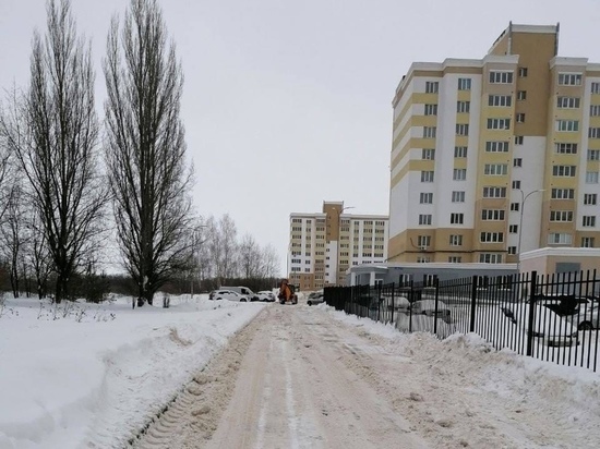 Жители улицы Птицеводов в Рязани просят построить им новую дорогу