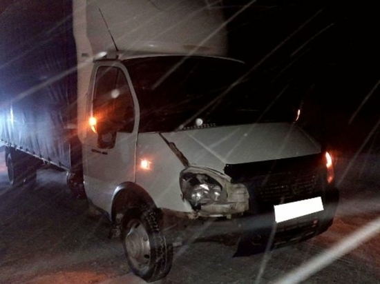 Пьяный пешеход попал под колеса автомобиля на трассе М-7 в Удмуртии