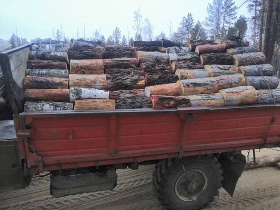 Минприроды Забайкалья назвало два способа заготовки дров и цены на них