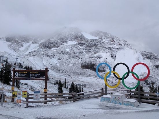 Более 30 петербургских спортсменов выступят на зимних Олимпийских играх в Пекине