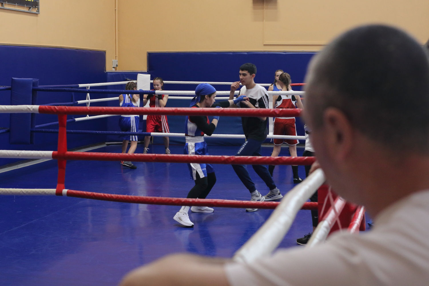 Фото первенства Хабаровского края по боксу среди женщин и девушек