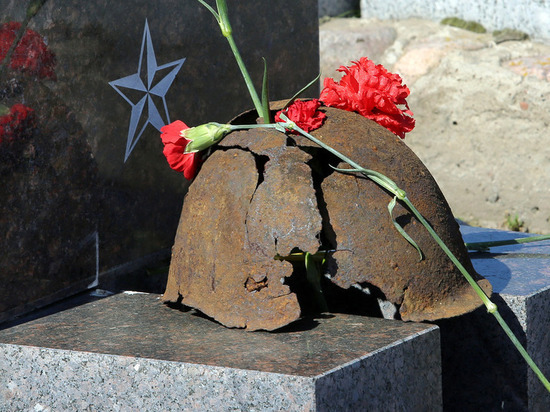 Музеи Отечественной войны в Ленобласти сольются в единый музейный комплекс