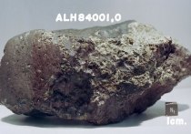 Известный осколок марсианского метеорита Allan Hills, найденный  в Антарктике в 1984 году, содержит органические молекулы не биологического, а геохимического происхождения