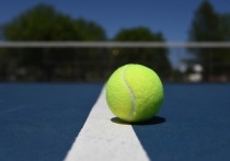 В Австралии суд отложил рассмотрение апелляции известного сербского теннисиста Новака Джоковича