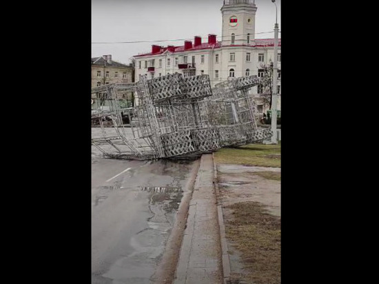В Минске ураганный ветер поломал деревья, остановки и рекламные щиты