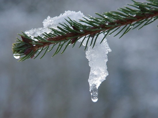 Томск 15 января начинает стремительно погружаться в очередную оттепель