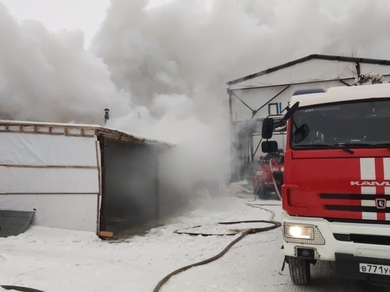 В Челябинске загорелся цех по переработке древесины