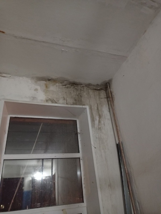 Жительница Смоленского района рассказала о протекающей крыше