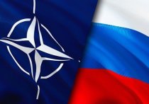 В мировых соцсетях обсудили перспективы военного конфликта НАТО с Россией