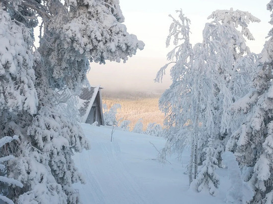 16 января в Смоленской области будет скользко и ветрено