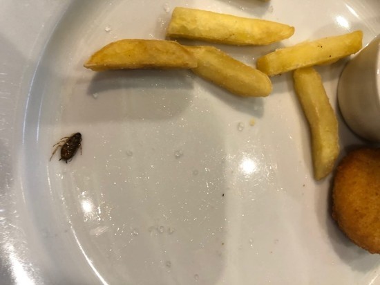 В новосибирском кафе ребенку подали блюдо с тараканом