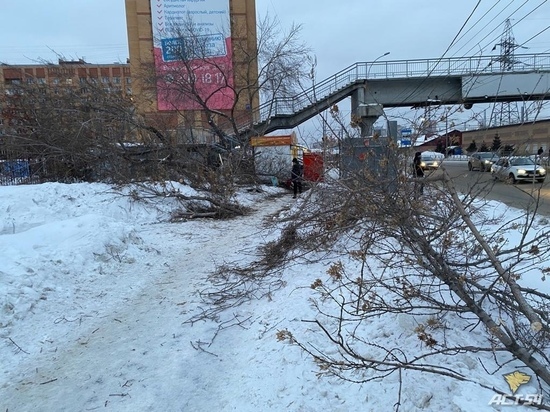 Неизвестные спилили деревья и повредили остановку на Владимировской в Новосибирске