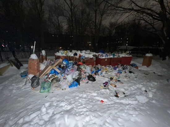 На улице Полетаева в Рязани с январских праздников не вывозят мусор