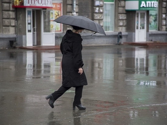 Зимний дождь и сильный ветер придут 17 января в Новосибирск