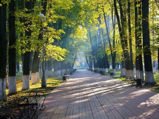 Великий Новгород нашел подрядчиков для благоустройства трех парков