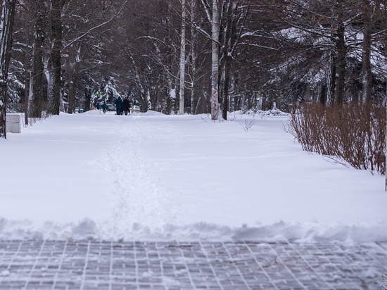 Снегопад и гололед прогнозируют в Ростовской области