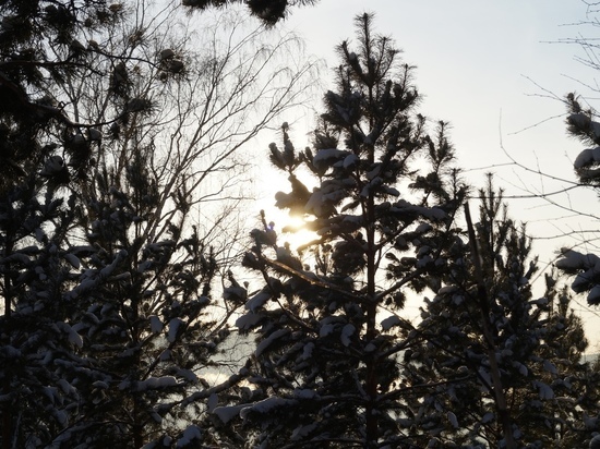 Плюсовая температура и ветер ожидаются в Красноярске 17 января