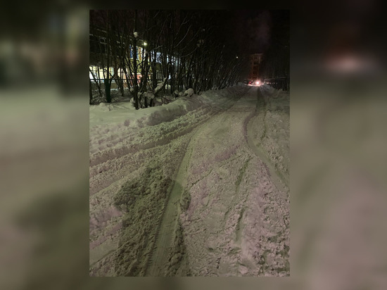 Снежная каша на дорогах по пути к детским садам заставила мурманчан с детьми ползти по сугробам