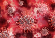 Медики за последние сутки выявили коронавирус ещё у 119 жителей Забайкальского края