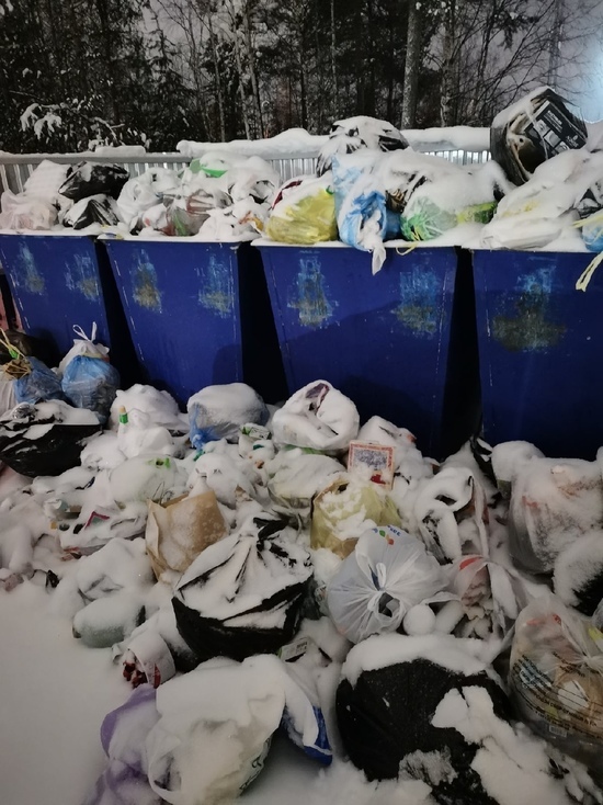 Заваленную мусором площадку в Ноябрьске не могут очистить из-за припаркованного авто